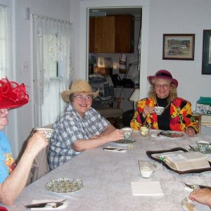 tea party, tree over house, etc.0002.jpg