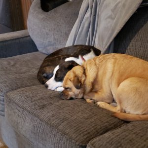 20210417_092056_007.jpg